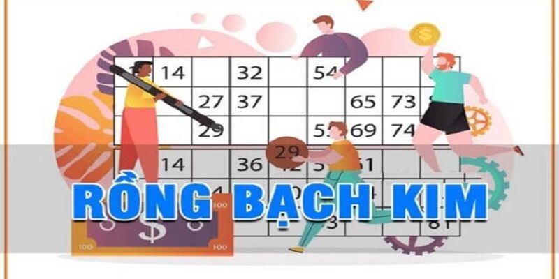 Những kỹ thuật soi cầu Rồng Bạch Kim chuẩn xác