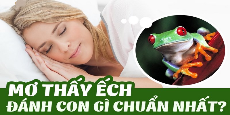 Luận giải ý nghĩa của việc nằm mơ thấy ếch