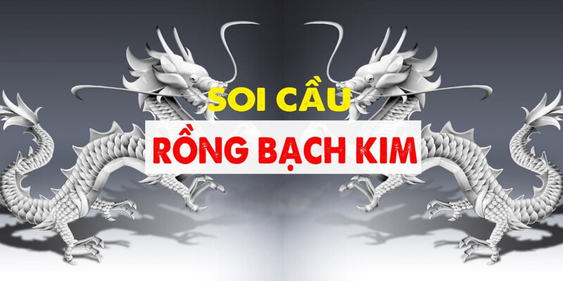 Đôi nét về Rồng Bạch Kim xổ số miền Bắc