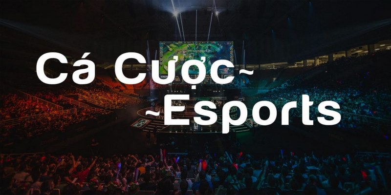 Kinh nghiệm chơi cá cược Esport dễ thắng